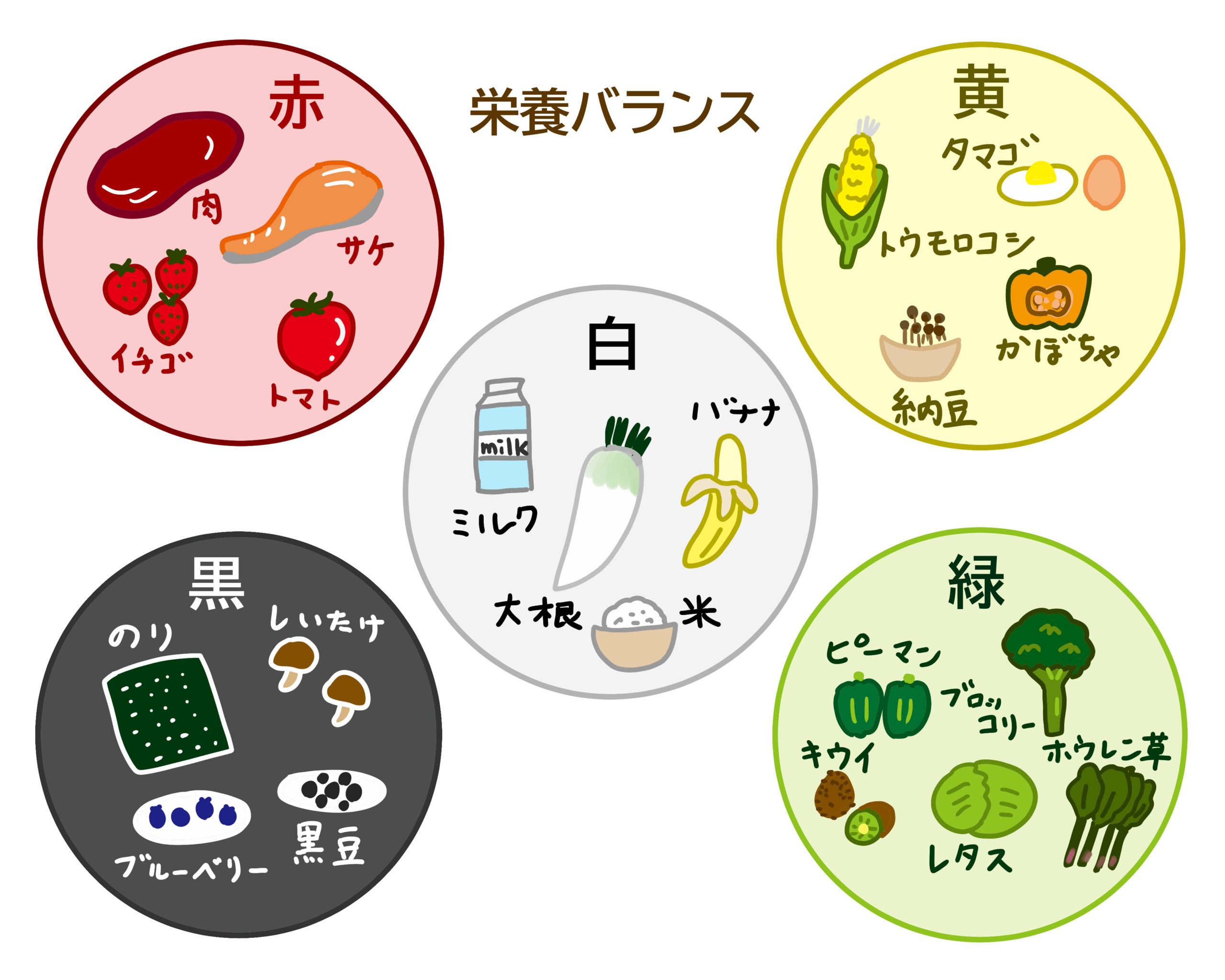 栄養素はチームプレーヤー、母は監督！